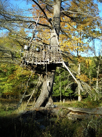 Tree House at Mildred's Lane