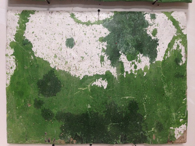 Fresco made from Wassaic Natural Selections Project