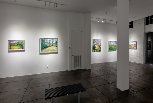Crow Valley installation at Jonathan Ferrara Gallery