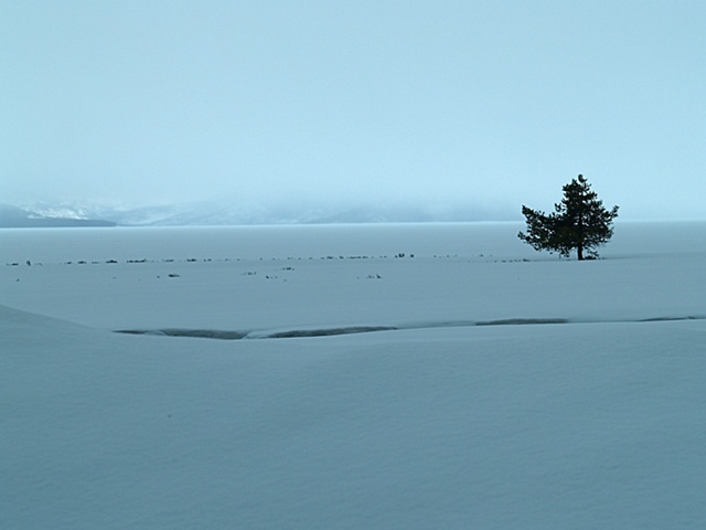 Yellowstone Lake Snowstorm