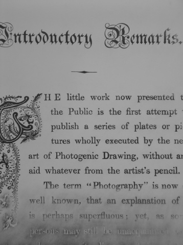 graphite drawing text by Molly Springfield