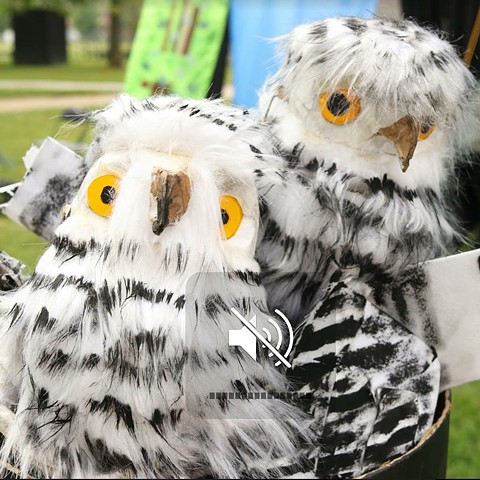 Snowy Owls Puppets