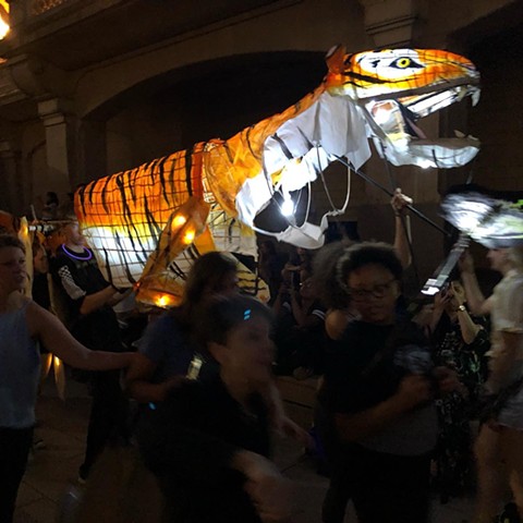 Giant TigerLantern Parade PuppetFirst time out!
