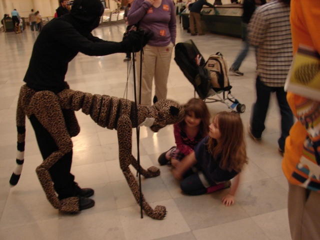 Cheetah with Museums Guests