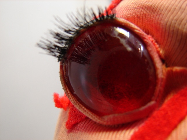 Close Up ChestBurster Eye