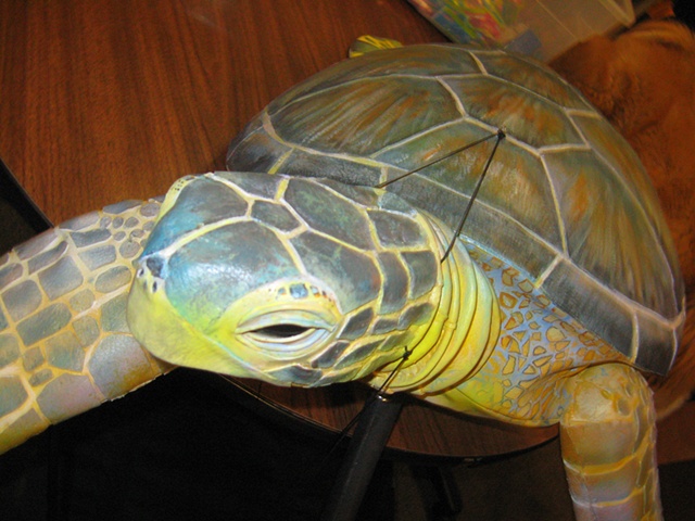 'Nickel' Sea Turtle Puppet