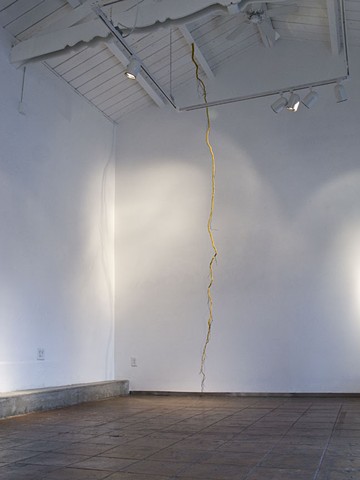ceiling root 2012