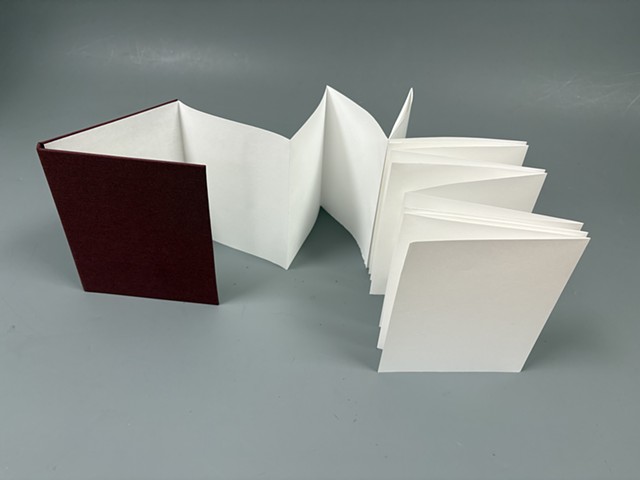 Accordion with a Hard Case