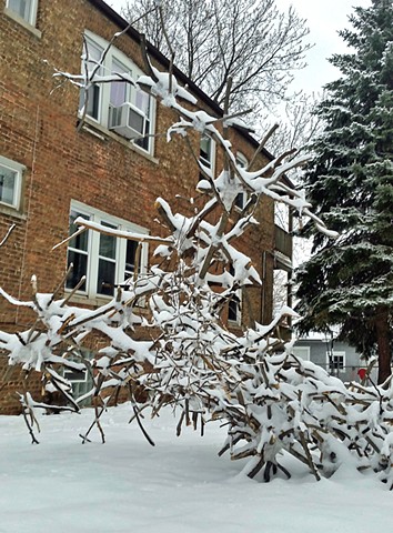 In their clothes(with snow)