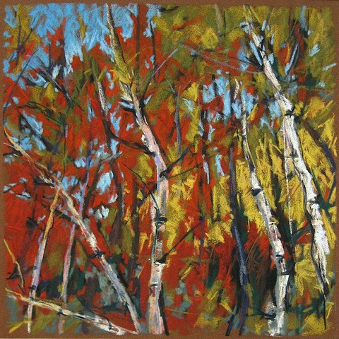 Pastel drawing autumn birch trees