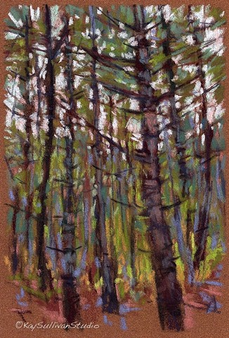 Pastel drawing Maine woods