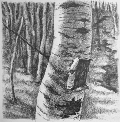 Pastel landscape birch trees