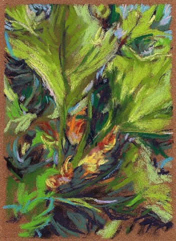 Not Yet (Squash Blossoming)_7x5