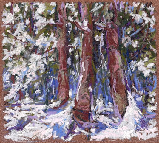 Woods In Snow (Three)_6x7