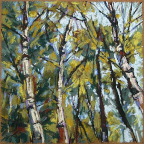 pastel birch trees landscape