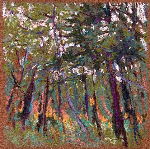 Pastel landscape in the woods trees