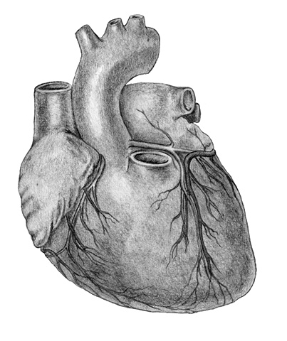 Medical Illustration Fig 3
