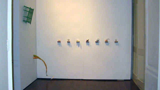 Dreams of Wings - installation view 2
