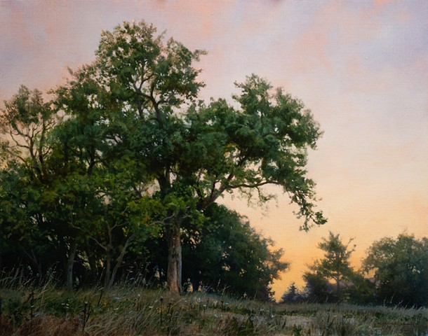 "Southern Grove under a Fading Light"