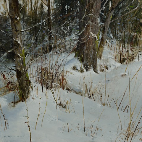 "Winter Thicket"