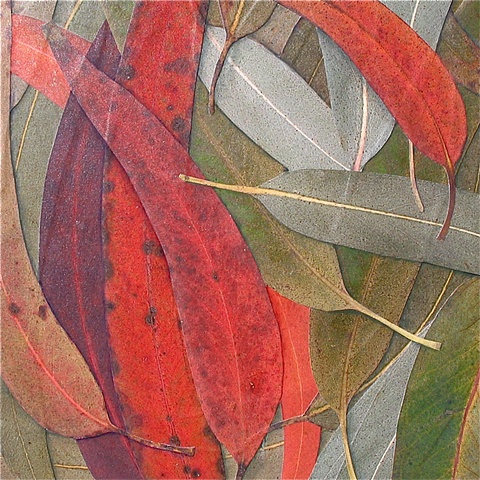 Myrtle II, Mixed cedia collage, 6" X 6"