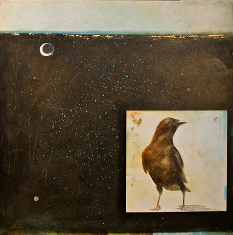 crow in moonlight