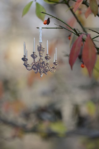 photograph of photography collage miniature still life nature domestic home chandelier 