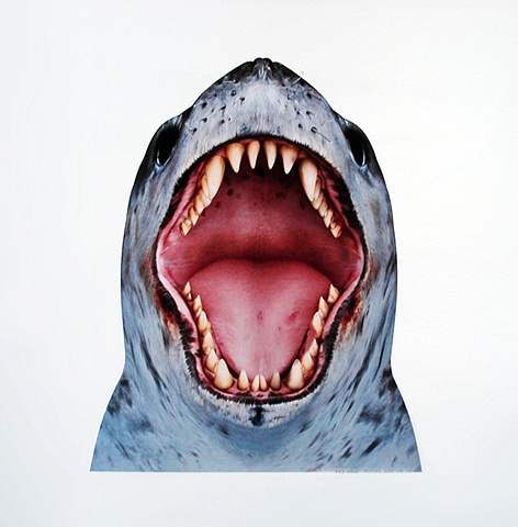 happy feet leopard seal mouth detail