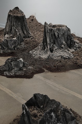 Installation view of Scorched Earth at Maier Museum of Art at Randolph College, Lynchburg VA January 31 - April 11th 2020
