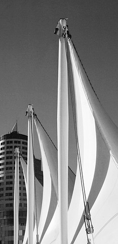 City Series: ' The Sails '