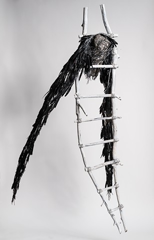 Vulture entwined in ladder