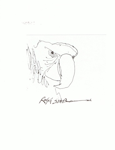 Ralph Steadman - Parrot