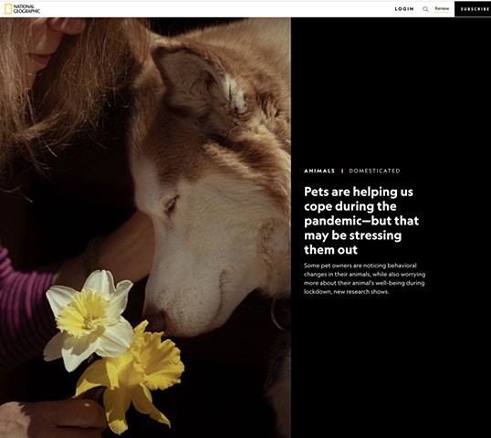 "Pets are helping us cope..." National Geographic