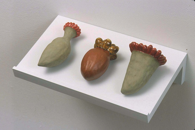 2004 Installation, Detail. Seeds, Set 1