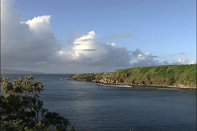Save Honolua