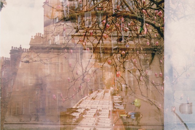 A lo-fi multiple exposure film photo of apple tree, pink flowers, Oxford, and London, England.  Sky, architecture, and soft colours.