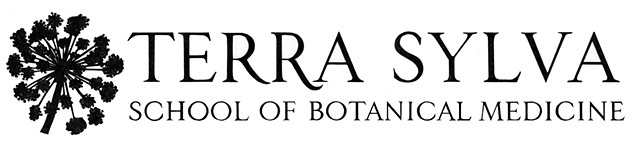 Logo Design 
Terra Sylva School of Botanical Medicine
North Carolina

Graphite on paper