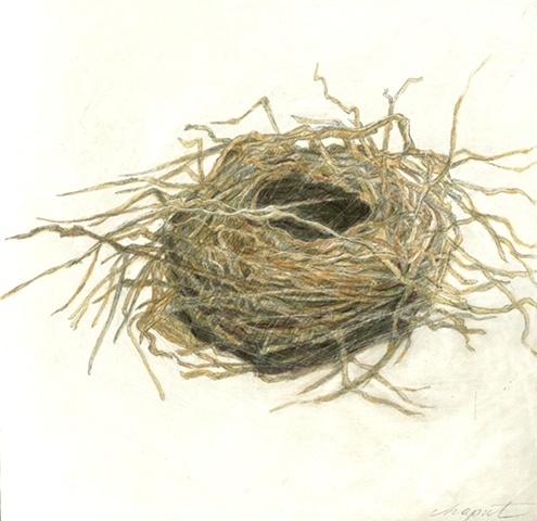 Twiggy Nest