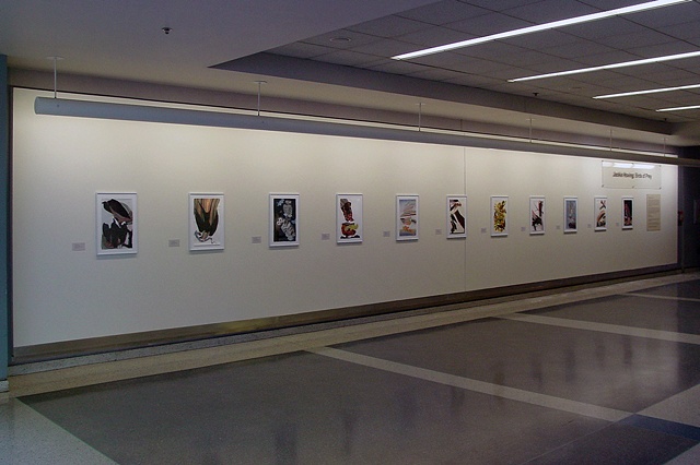 Installation at Philadelphia International Airport