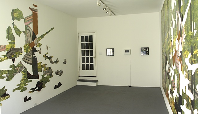 Installation Shot- Crypsis at Rebekah Templeton Gallery