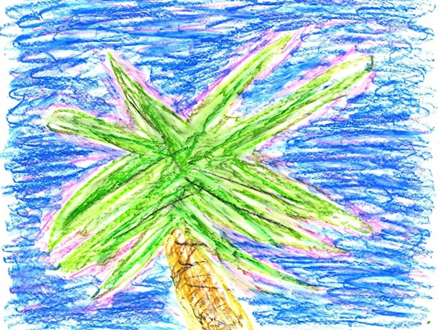 Pastel drawing of a palm tree by Christopher Stanton