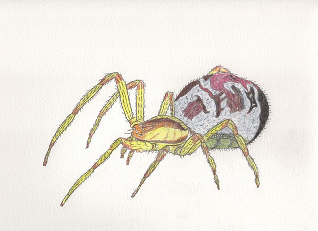 Drawing illustration of a Mothercare Spider by Christopher Stanton