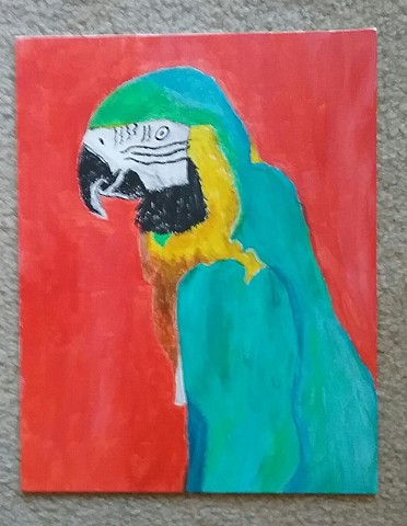 Painting of a Blue Macaw by Christopher Stanton