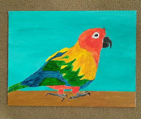Painting of a Sun Parakeet by Christopher Stanton