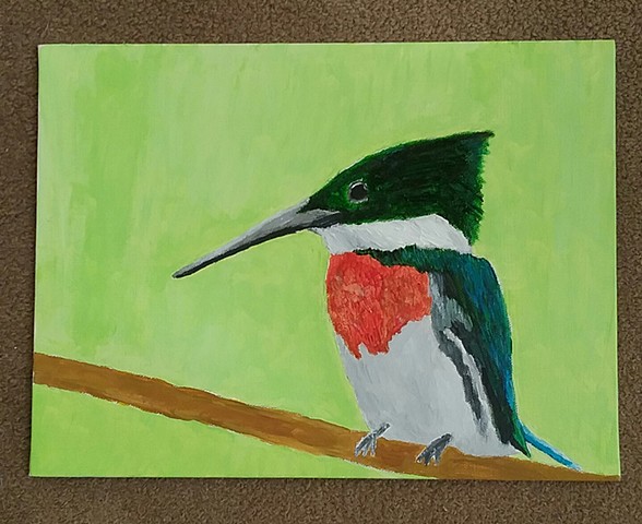 Painting of an Amazon Kingfisher by Christopher Stanton