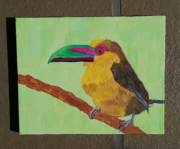 Acrylic painting of a saffron toucanet by Christopher Stanton