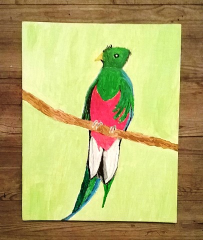 Painting of a Quetzal by Christopher Stanton