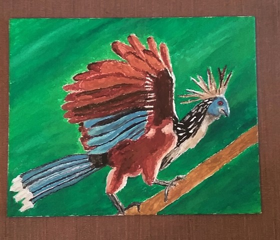 Painting of a Hoatzin by Christopher Stanton