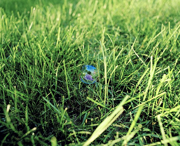 A Bubble Rests on the Grass