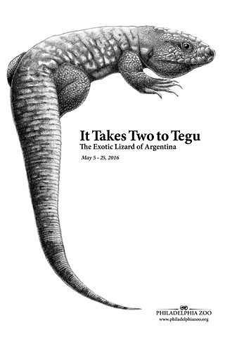 It Takes Two to Tegu, Philadelphia Zoo Poster Proposal 